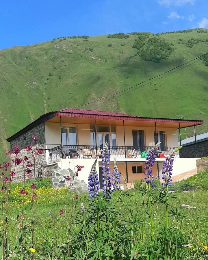 Cozy Hotel Kazbegi المظهر الخارجي الصورة